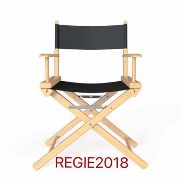 REGIE2018 – Facebook advies Online Evers Marketing