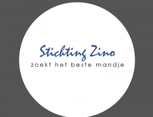 Stichting Zino nieuwe website